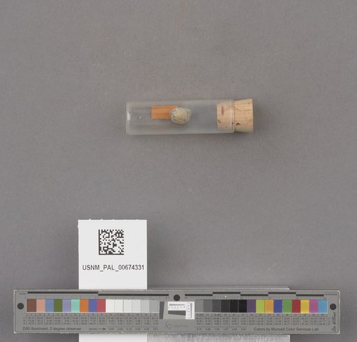 NSF ADBC EPICC TCN