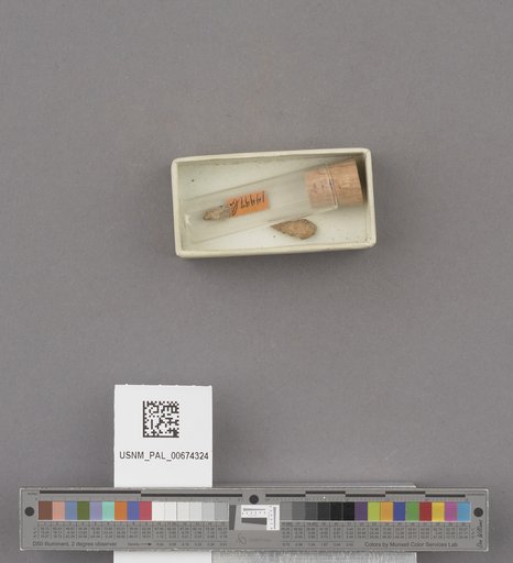 NSF ADBC EPICC TCN