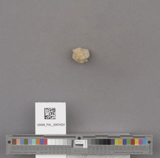 NSF ADBC EPICC TCN