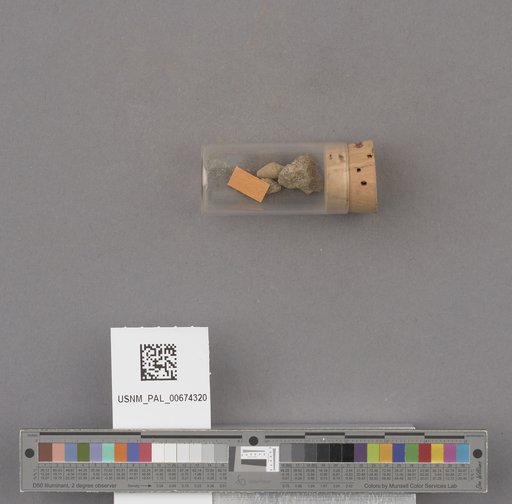 NSF ADBC EPICC TCN