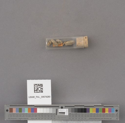 NSF ADBC EPICC TCN