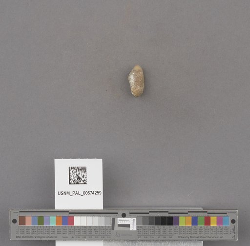 NSF ADBC EPICC TCN