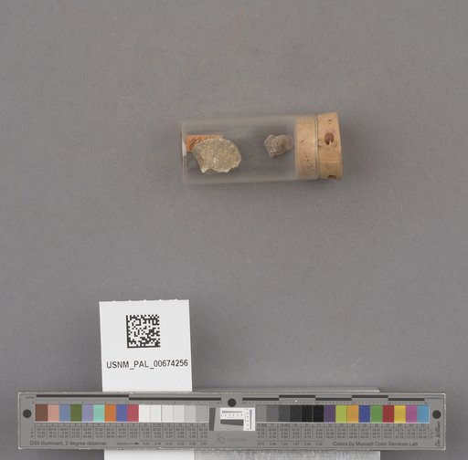 NSF ADBC EPICC TCN
