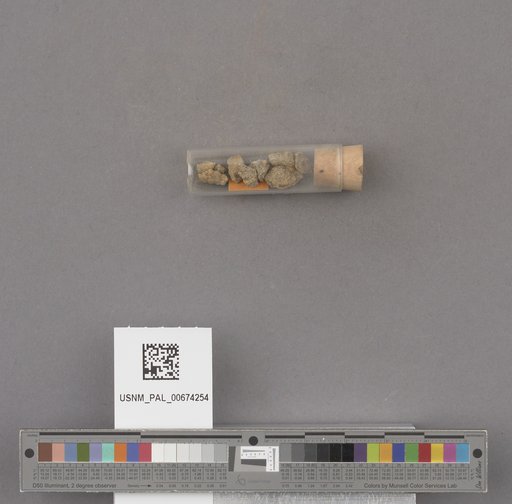 NSF ADBC EPICC TCN