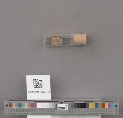NSF ADBC EPICC TCN