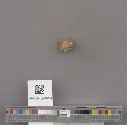 NSF ADBC EPICC TCN