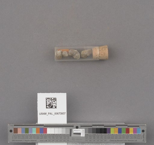 NSF ADBC EPICC TCN