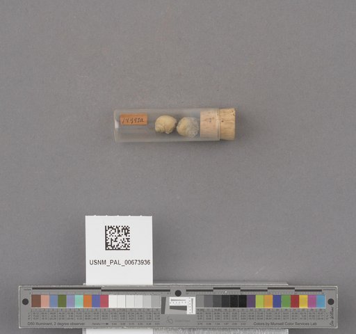 NSF ADBC EPICC TCN