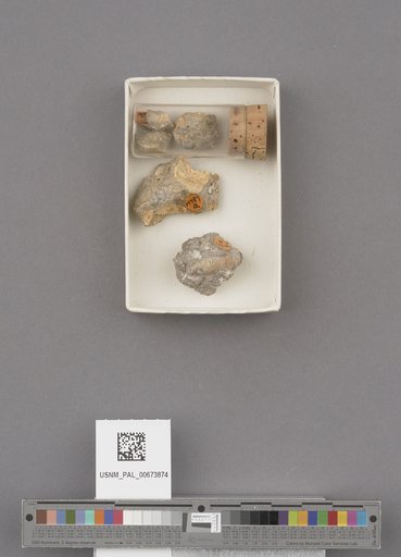 NSF ADBC EPICC TCN