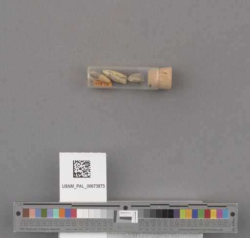NSF ADBC EPICC TCN