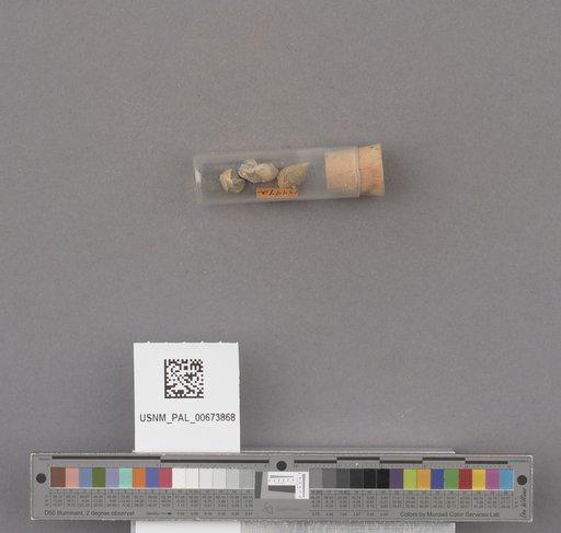 NSF ADBC EPICC TCN