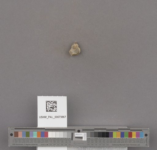 NSF ADBC EPICC TCN