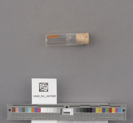 NSF ADBC EPICC TCN
