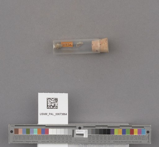 NSF ADBC EPICC TCN