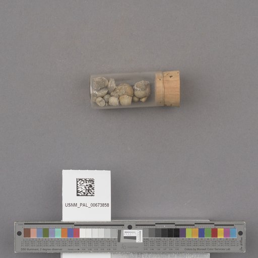NSF ADBC EPICC TCN