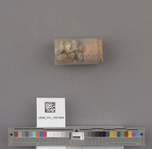 NSF ADBC EPICC TCN