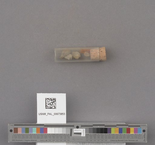 NSF ADBC EPICC TCN