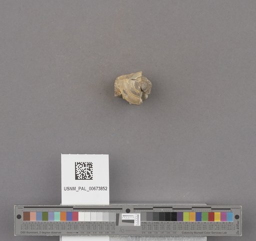NSF ADBC EPICC TCN