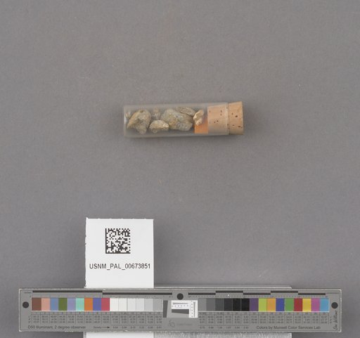 NSF ADBC EPICC TCN