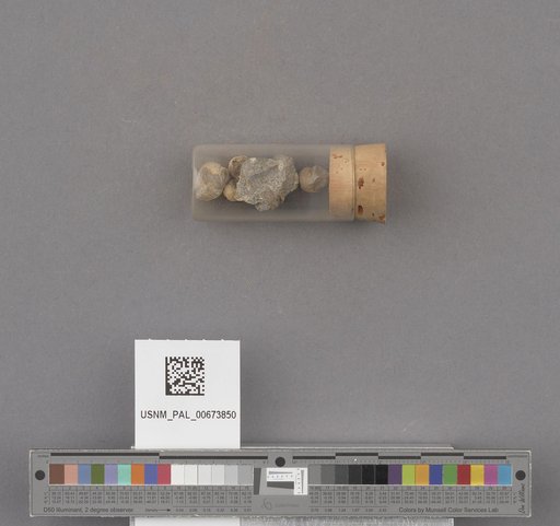 NSF ADBC EPICC TCN