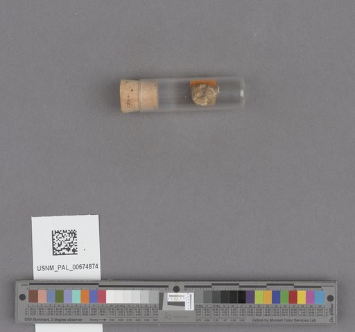 NSF ADBC EPICC TCN