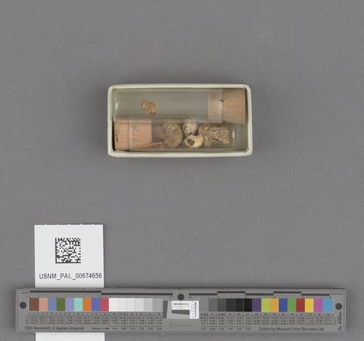 NSF ADBC EPICC TCN