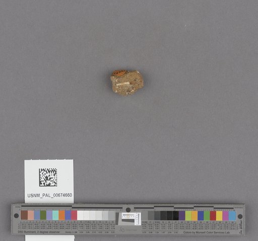 NSF ADBC EPICC TCN
