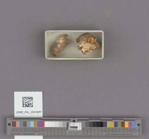 NSF ADBC EPICC TCN