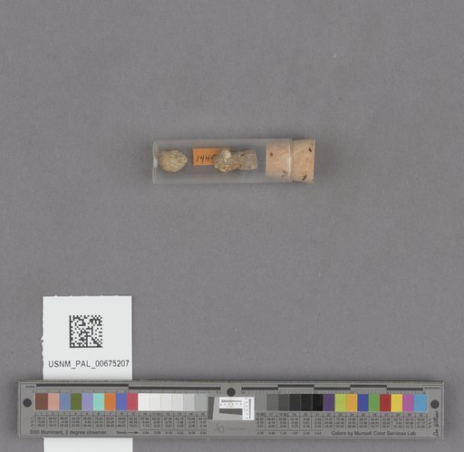 NSF ADBC EPICC TCN