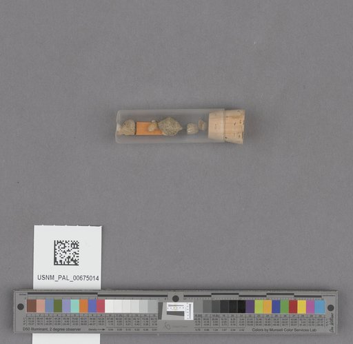 NSF ADBC EPICC TCN