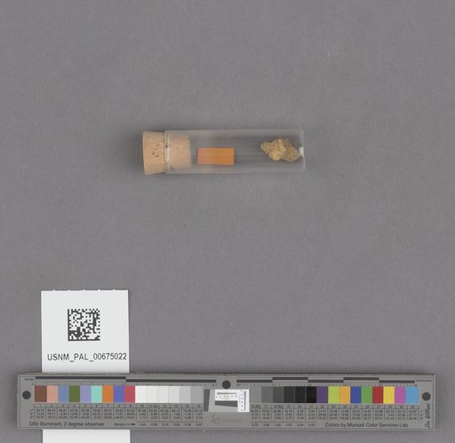 NSF ADBC EPICC TCN