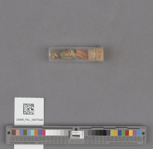 NSF ADBC EPICC TCN
