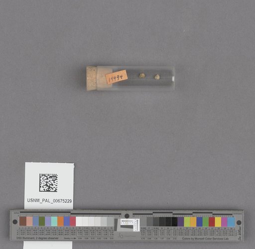 NSF ADBC EPICC TCN