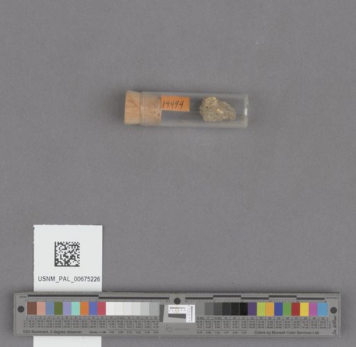 NSF ADBC EPICC TCN