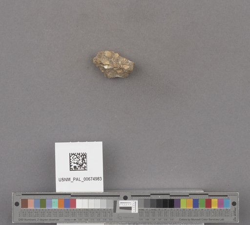 NSF ADBC EPICC TCN