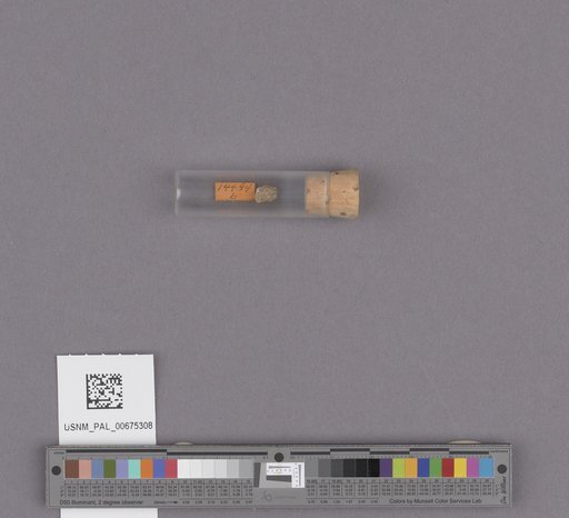 NSF ADBC EPICC TCN