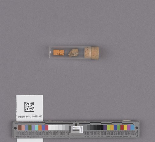 NSF ADBC EPICC TCN