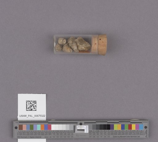 NSF ADBC EPICC TCN