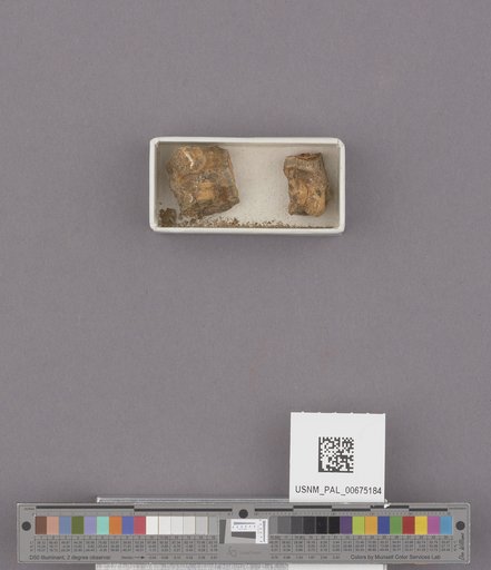 NSF ADBC EPICC TCN