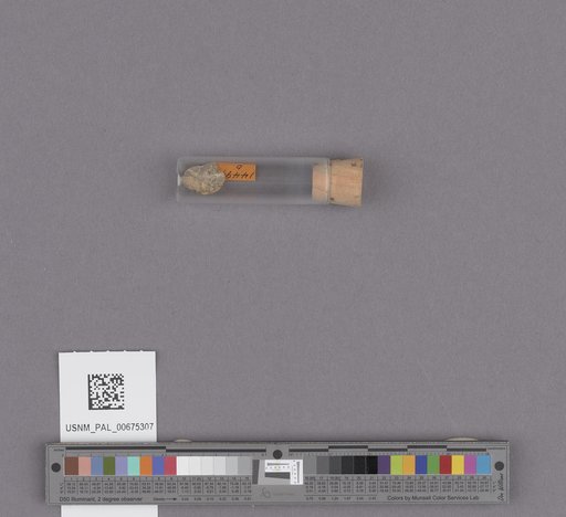 NSF ADBC EPICC TCN