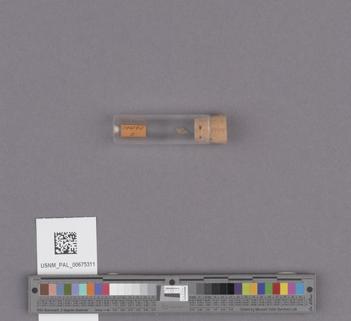 NSF ADBC EPICC TCN