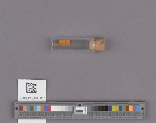 NSF ADBC EPICC TCN