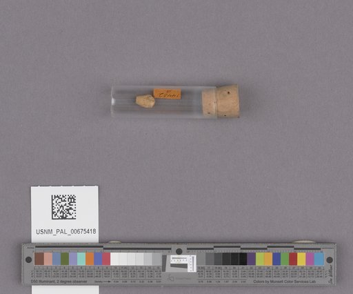 NSF ADBC EPICC TCN