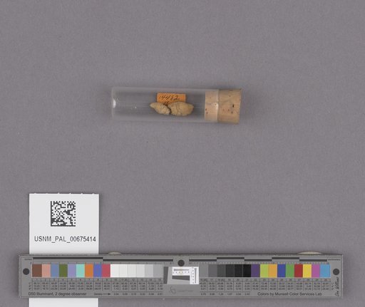 NSF ADBC EPICC TCN