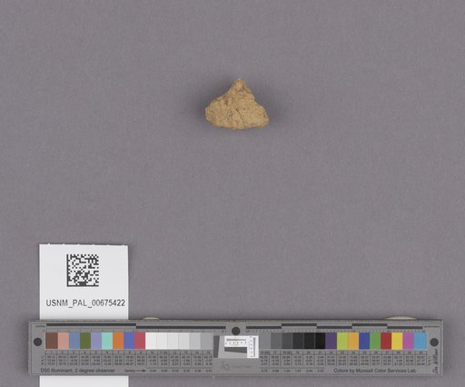NSF ADBC EPICC TCN