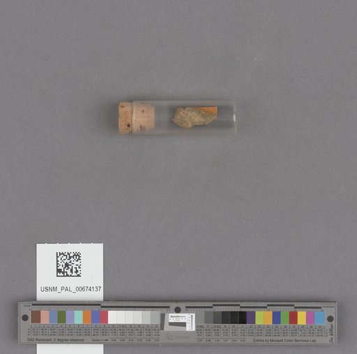 NSF ADBC EPICC TCN