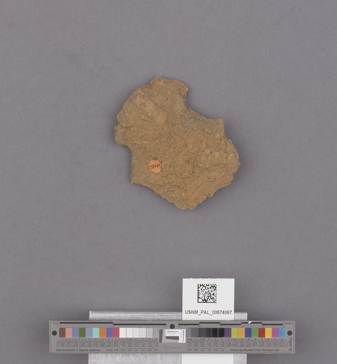 NSF ADBC EPICC TCN