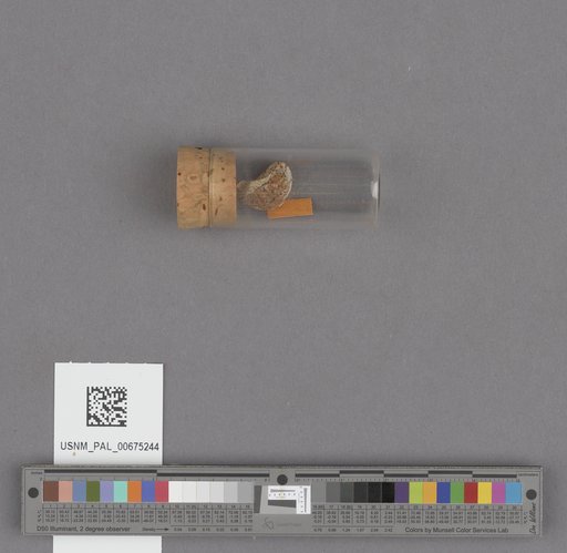 NSF ADBC EPICC TCN