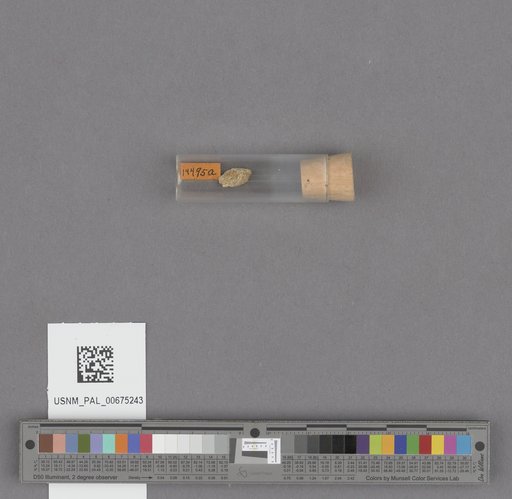 NSF ADBC EPICC TCN