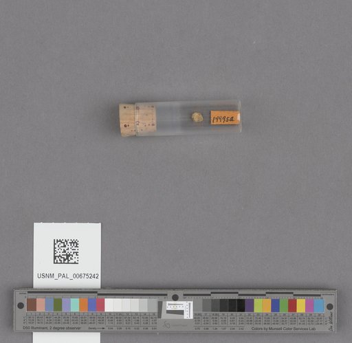 NSF ADBC EPICC TCN